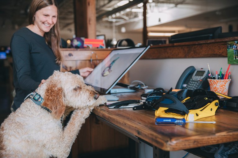 Burton dog jumping up on desk