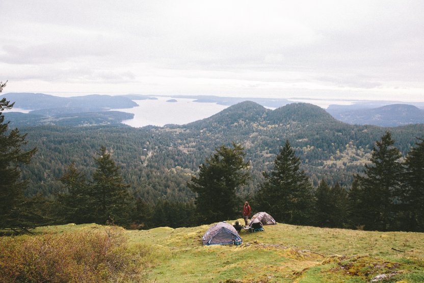 Hanging out where the grass is greener.