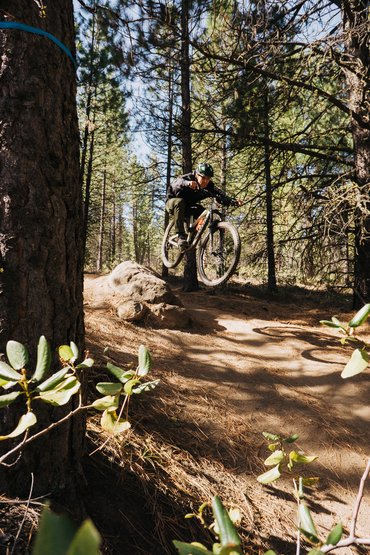 Trailside attraction.