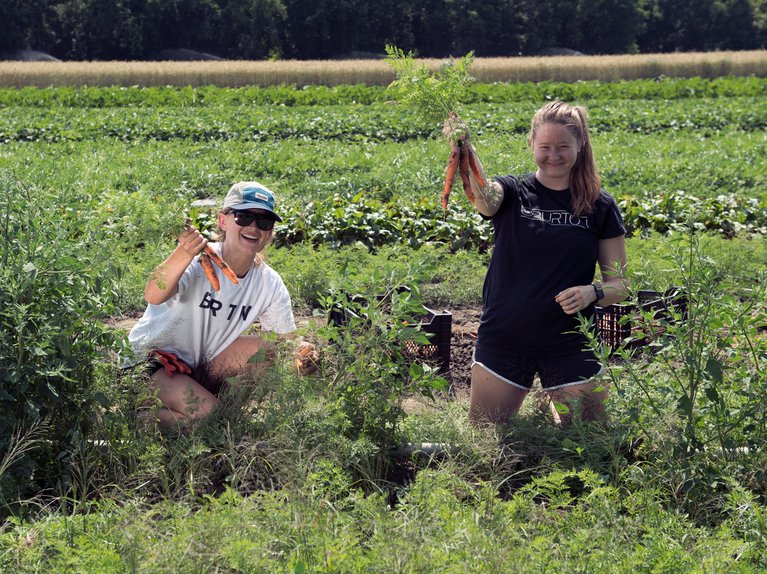 Group harvesting