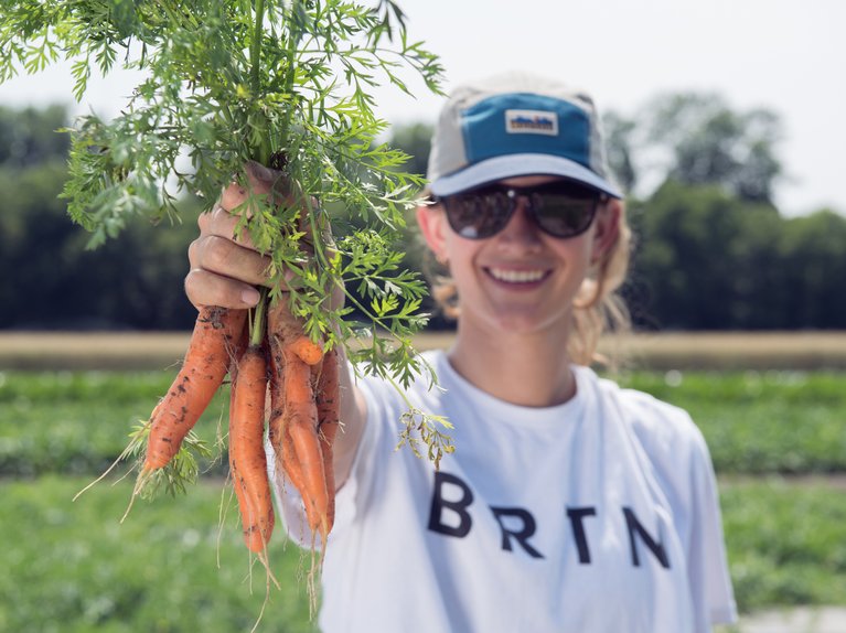 Holding carrots