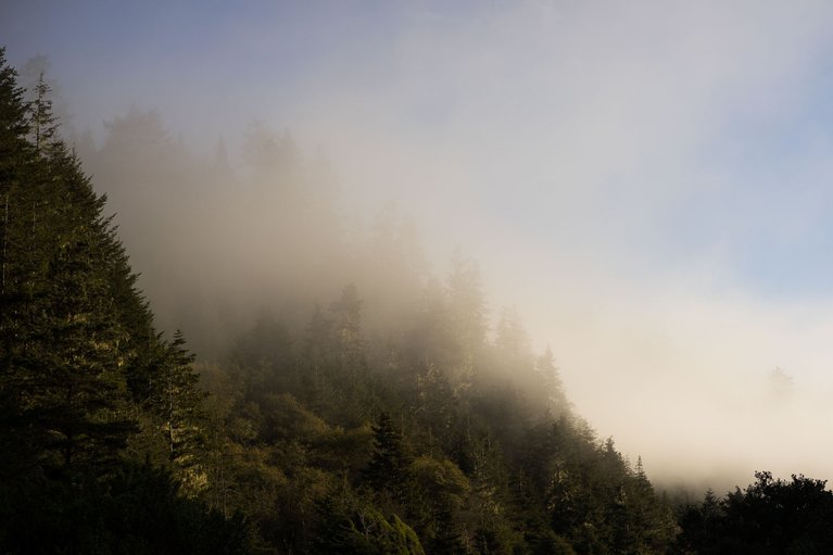 PCH_MorningFog_BigRiver_Blotto_01293.jpg